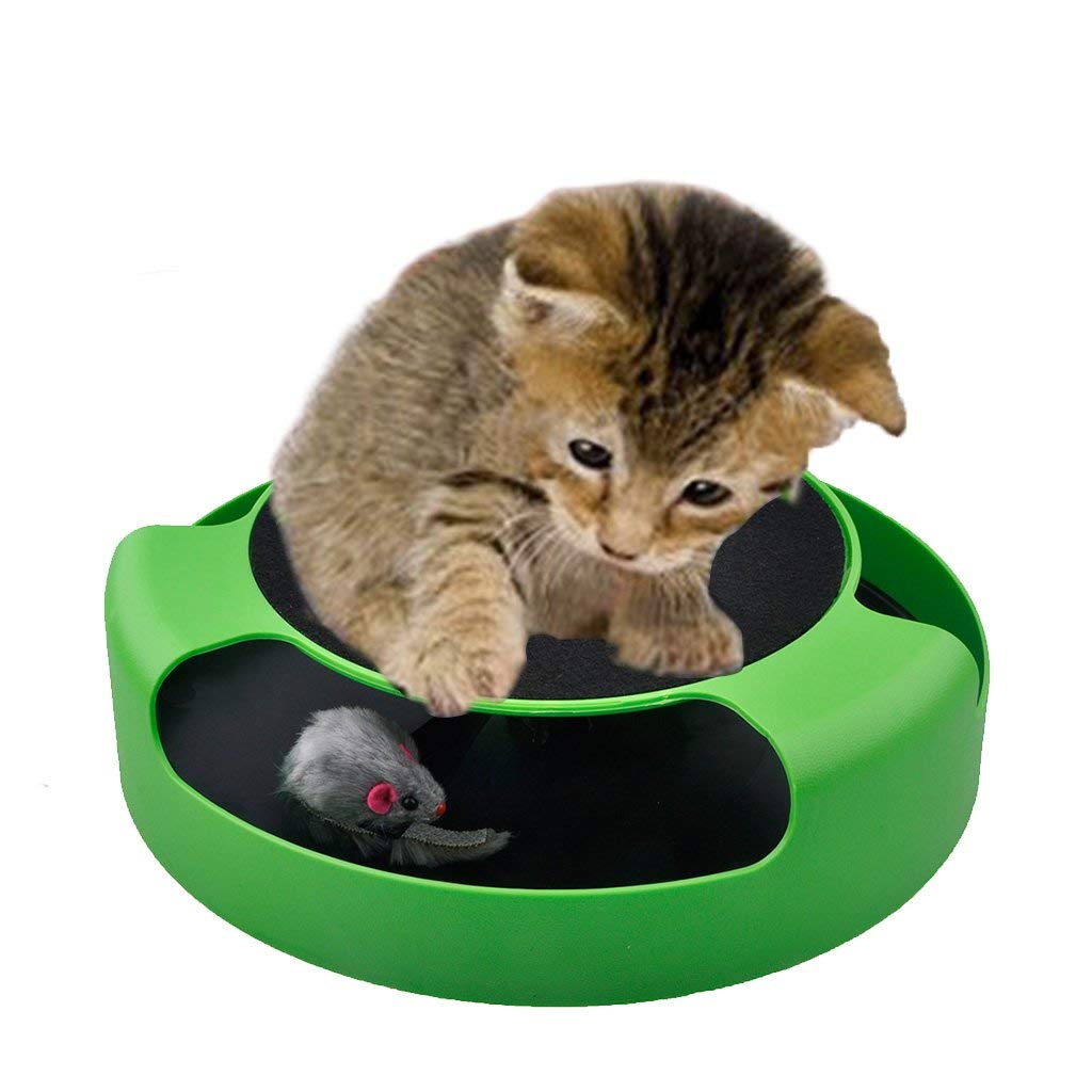 2 In 1 Interactive Cat Toys Product Testing Group
