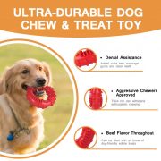 dog chew toy 4